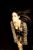DSC01037-1.jpg